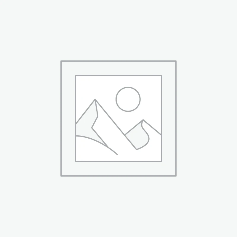 Universal Car Safety Belt Clasp Extension Key